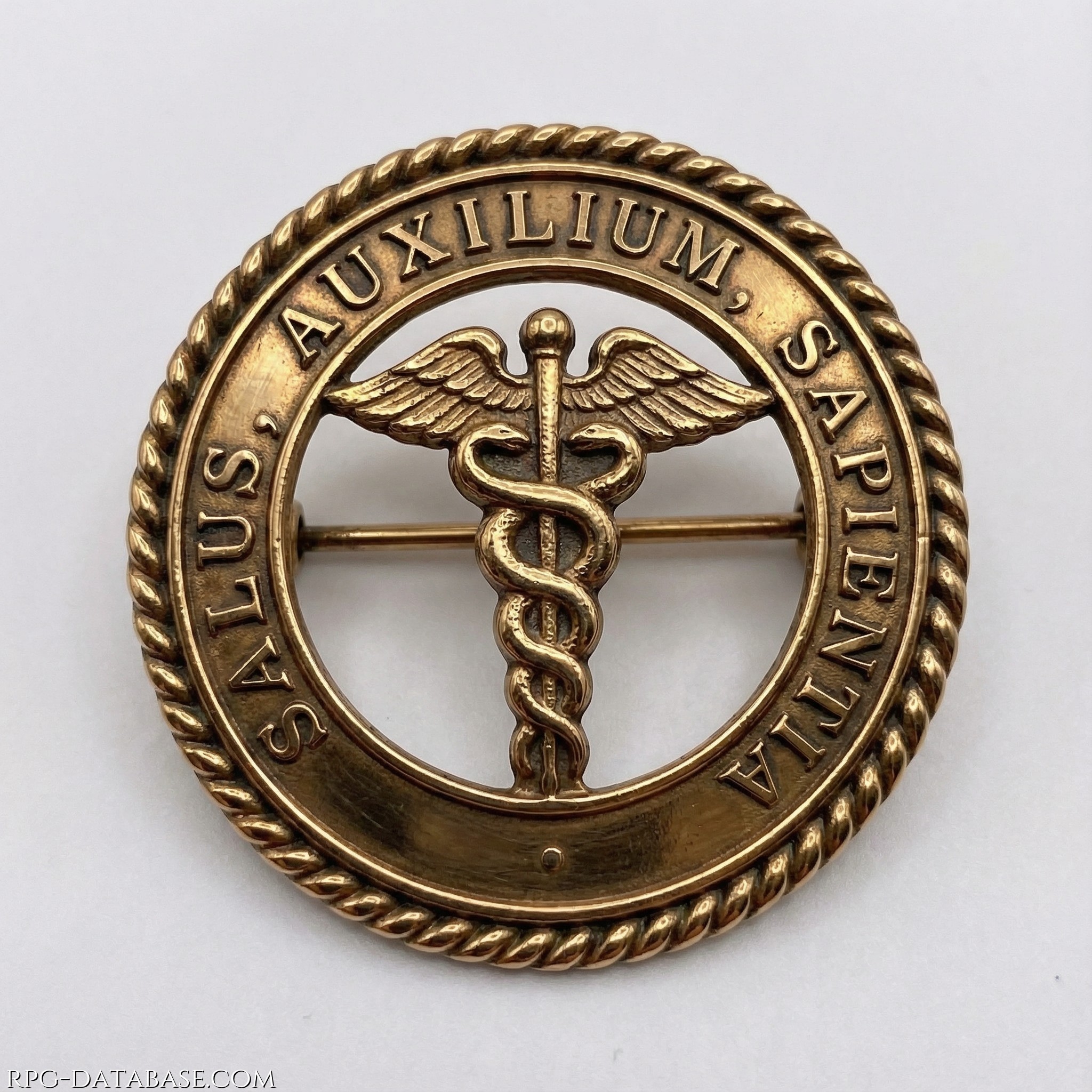 Spilla circolare in bronzo lucidato. Sull'anello esterno sono incise le parole SALUS · AUXILIUM · SAPIENTIA, i tre principi cardine della Gilda: la salute da preservare, l'aiuto da offrire, la sapienza da coltivare e tramandare.