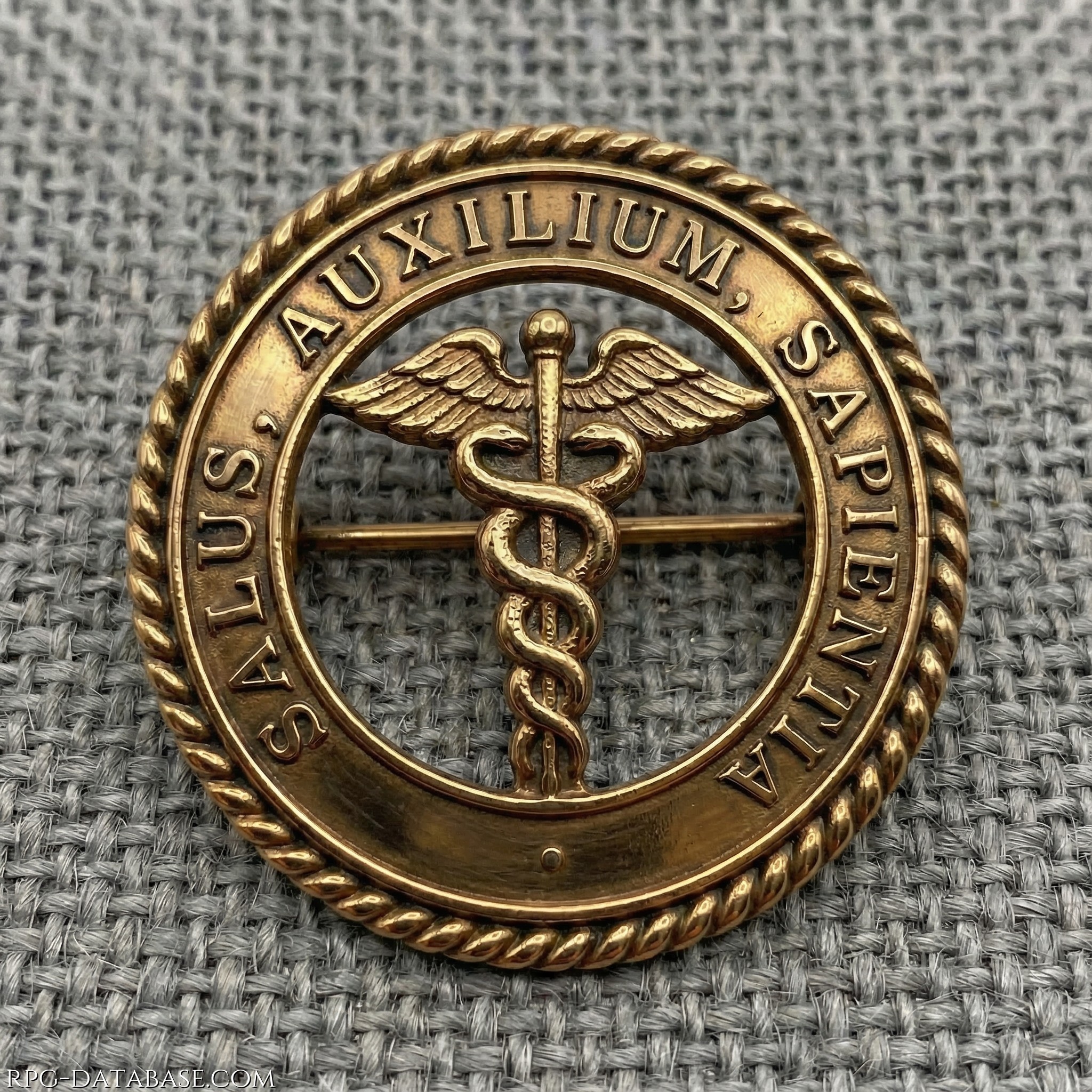 Spilla circolare in bronzo lucidato. Sull'anello esterno sono incise le parole SALUS • AUXILIUM • SAPIENTIA, i tre principi cardine della Gilda: la salute da preservare, l'aiuto da offrire, la sapienza da coltivare e tramandare.